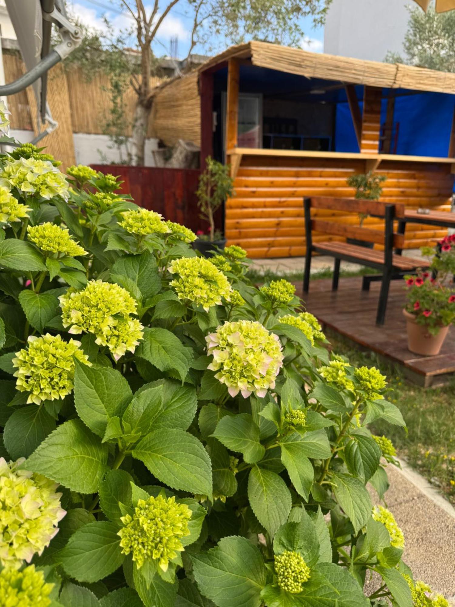 Garden Sofia - Free Parking Ksamil
