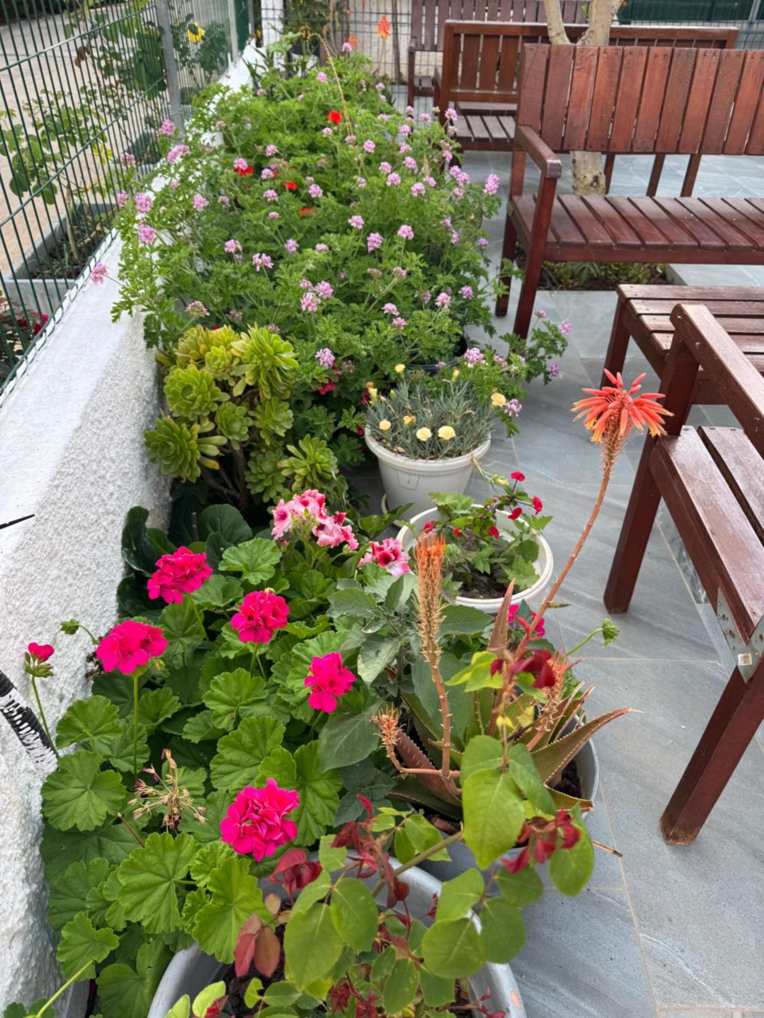 Garden Sofia - Free Parking Hotel